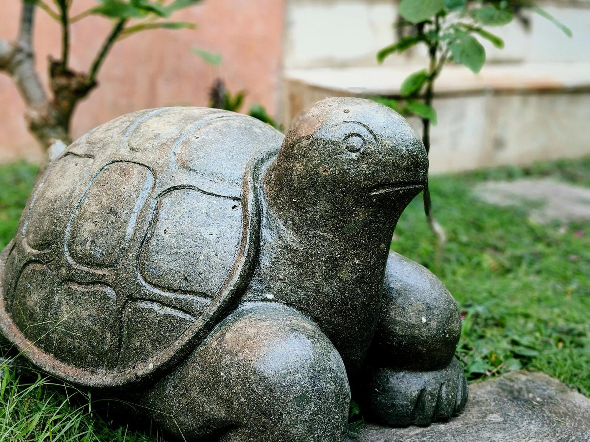 Bed and Breakfast Panda Lumbung Sanur Exterior foto